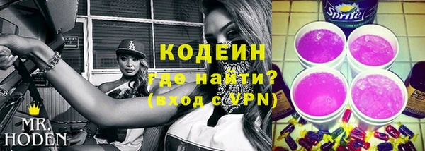 индика Горно-Алтайск