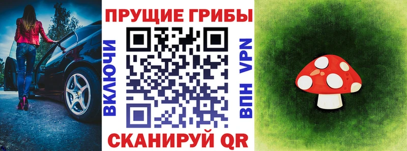Псилоцибиновые грибы Psilocybe  Купить где  Зеленодольск 
